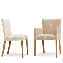 cornelia Silla Cornelia